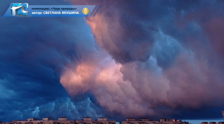 3-nominatsiya-1-mesto-yakushina