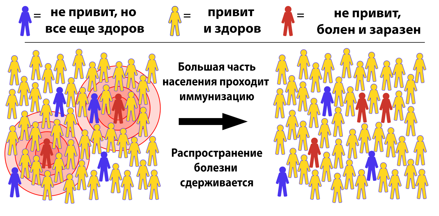 Переболеть COVID-19 или поставить прививку