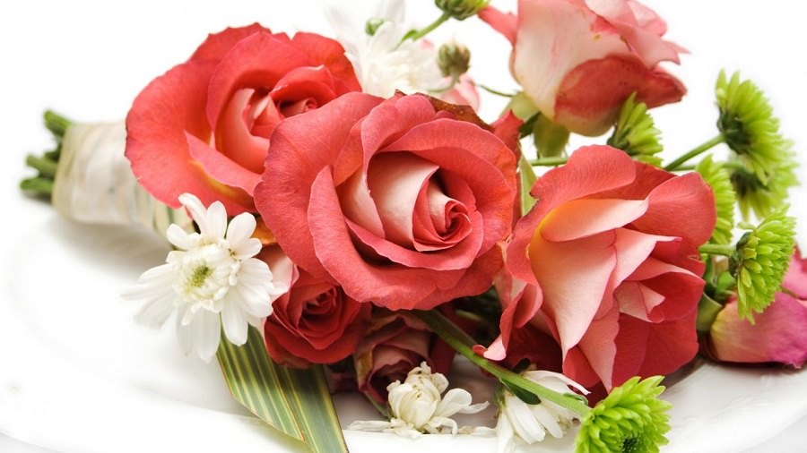 flowers-nice-rose-roses-lovely-fresh-flower-wallpapers-high-quality-1366x768